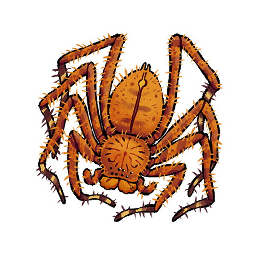 Diseño 27