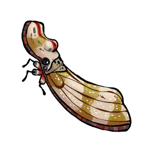 Diseño 7